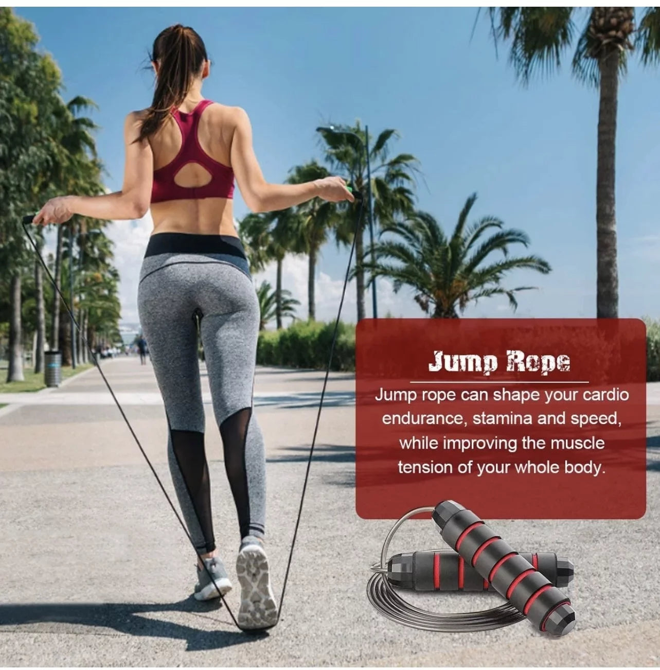 17-in-1 Ab Roller Wheel Fitness Set – Full-Body Home Gym Kit with Push-Up Bars, Bands & Jump Rope
